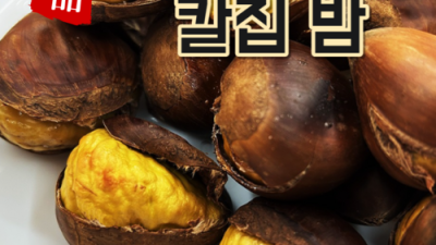 🌰 겨울밤 따스함, 포르단군밤 솔직 후기 & 꿀팁 대방출!