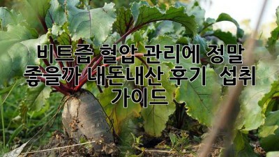 💖 비트즙, 혈압 관리에 정말 좋을까? 내돈내산 후기 & 섭취 가이드 🫘