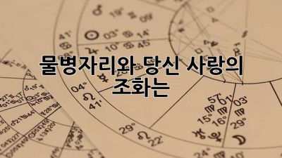 물병자리와 당신, 사랑의 조화는?